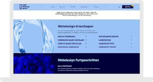 webdesign agentur kosten