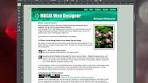 magix web designer 6