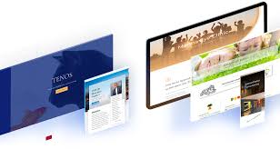 webdesign festpreis