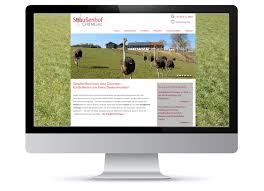 webdesign chiemgau
