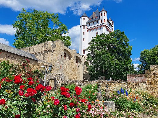 webdesign eltville am rhein