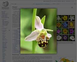 lightbox webdesign